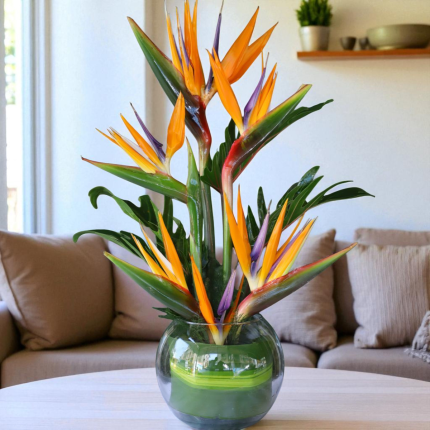 Bird of paradise flower vase arrangement in round glass vase