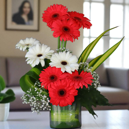 Red and white gerbera vase arrangement with greens and fillers