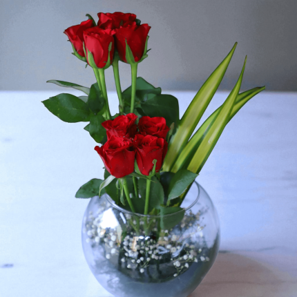 Red roses in round glass flower pot