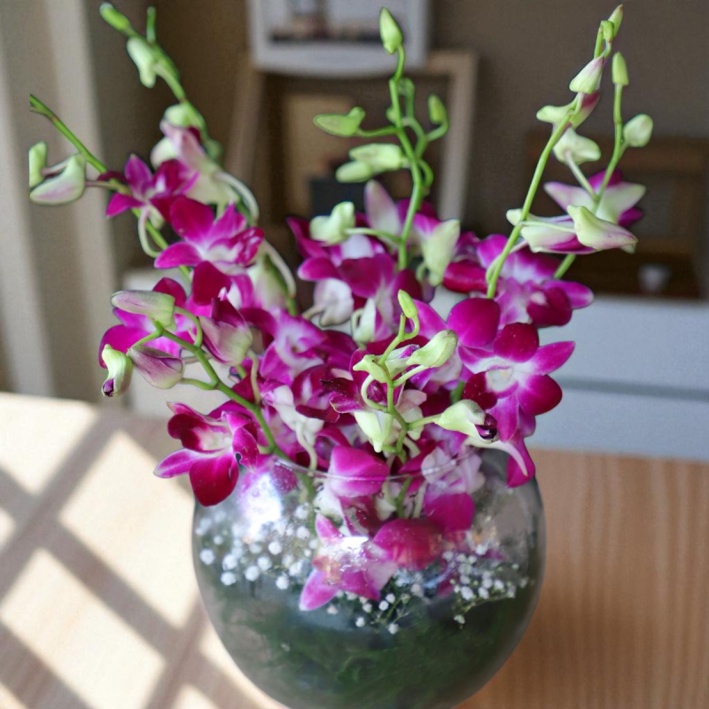 8 fresh purple orchids arranged in a round glass vase with fillers
