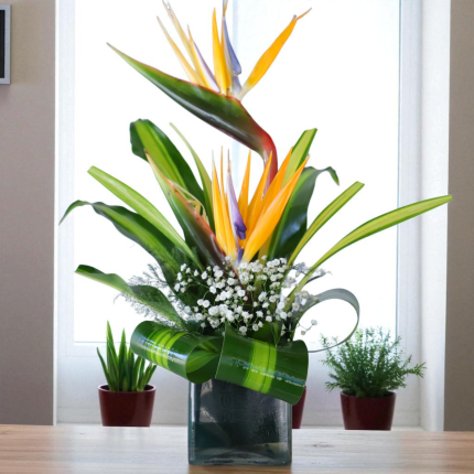two stunning Bird of Paradise flowers, this bouquet stands tall as a symbol of freedom - YHOJA.COM