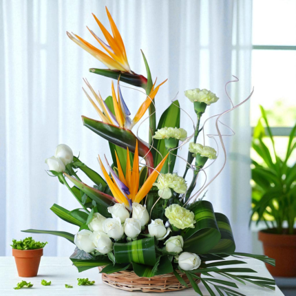 Bird of paradise and white roses basket arrangement with greenery