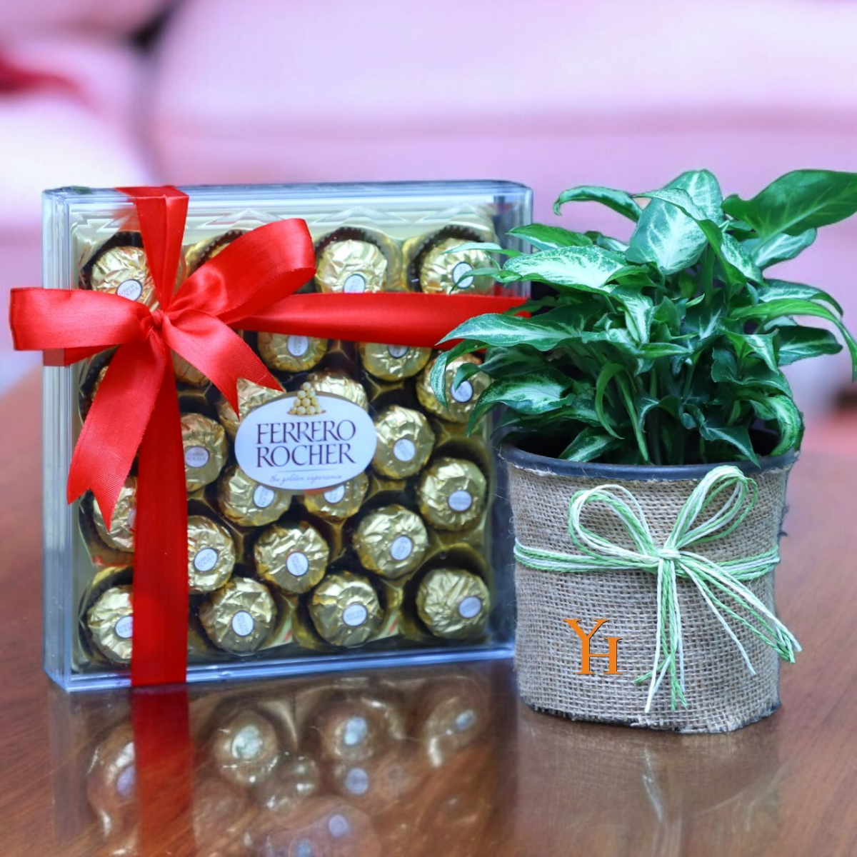 Photoroom-20240311_111517 (1) Ferrero Rocher Plant Combo with 24-piece chocolate box and green plant in jute pot.