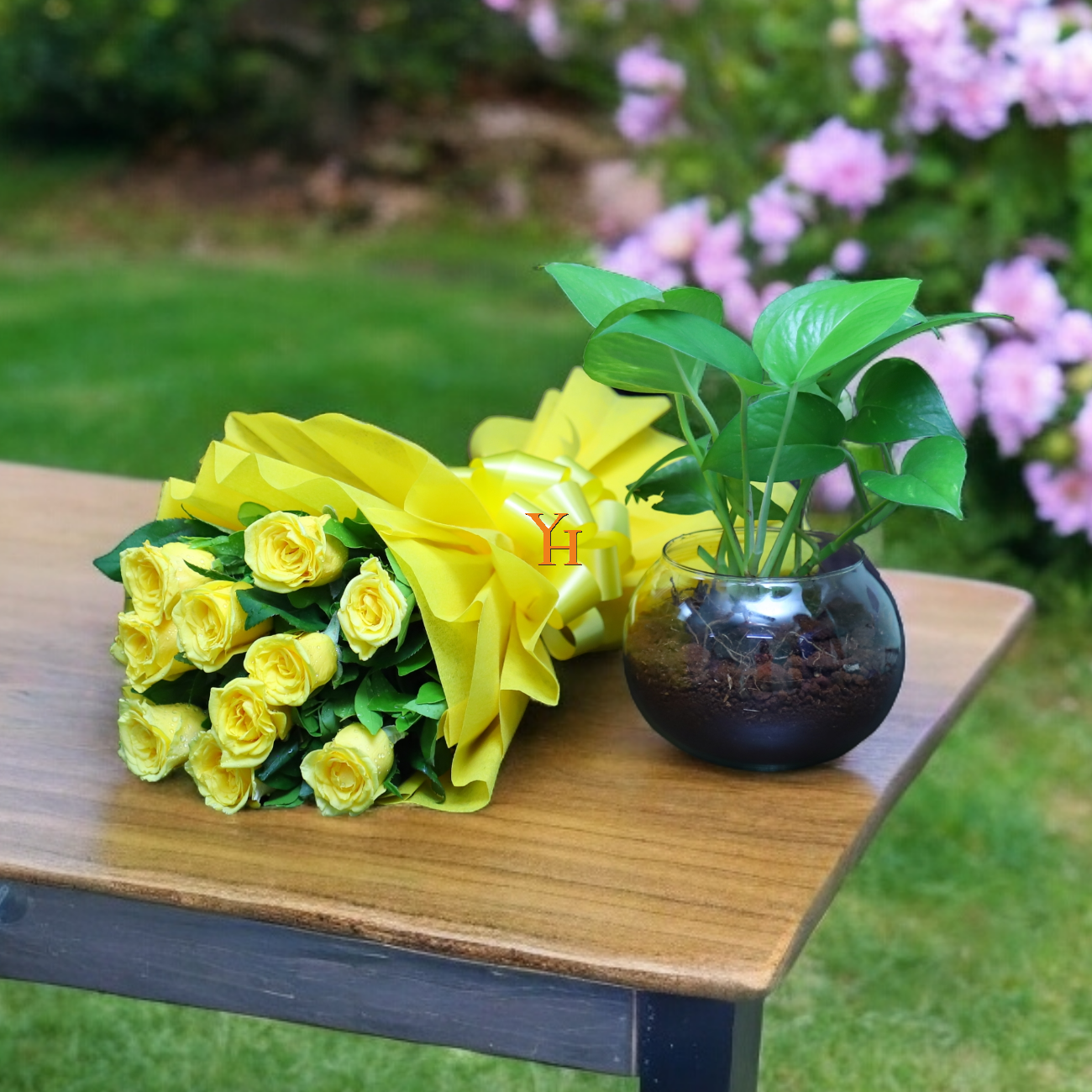 Photoroom-20240310_135518 10 yellow roses in paper wrap with money plant in round vase – YHOJA.COM gift combo