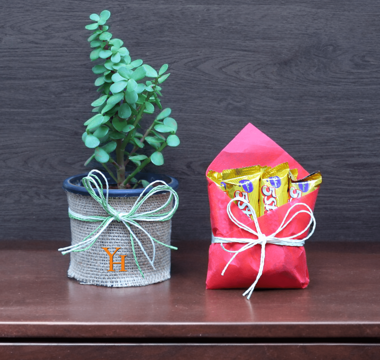 Photoroom-20240311_140926 Jade plant in jute pot with 5 Five Star chocolates in red wrap – YHOJA.COM gift combo